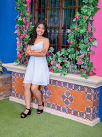 8847 #6040 DEBANHI NHOEMY