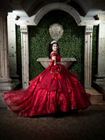 #25660 ALMA ANDRE (XV)-8377