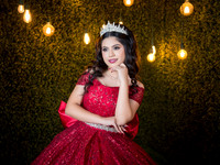 #25660 ALMA ANDRE (XV)-8369