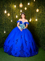 #24800 OLIVIA GUERRA (XV-9902