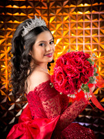 #25660 ALMA ANDRE (XV)-8339