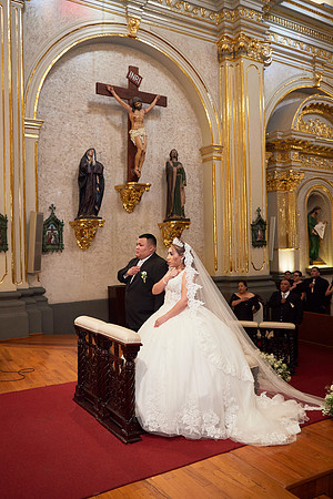 _MG_0460