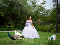 #2889 OLGA ADRIANA-1066