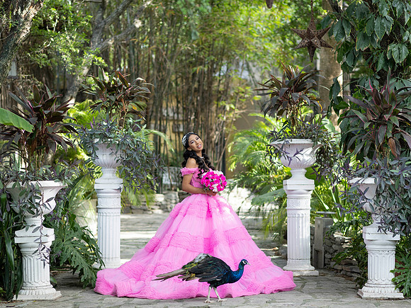 #2907 ANA VELIA-3463