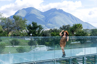 #25421 CARLOS MARIN-3729