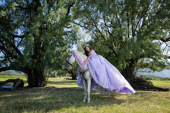 _K6_8734