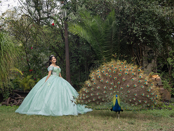 MARTHA ELENA #2906_ED-4736