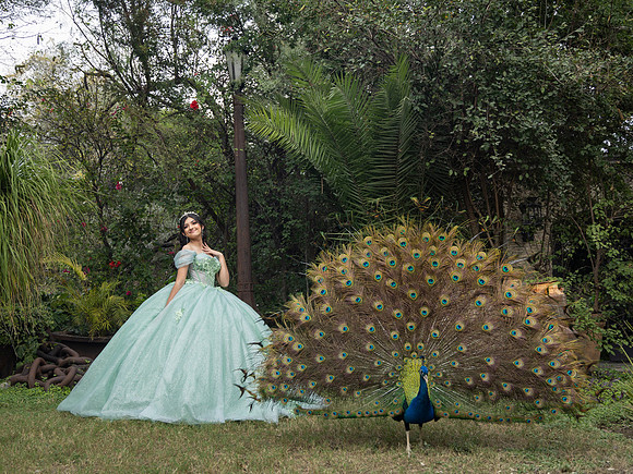 MARTHA ELENA #2906_ED-4737