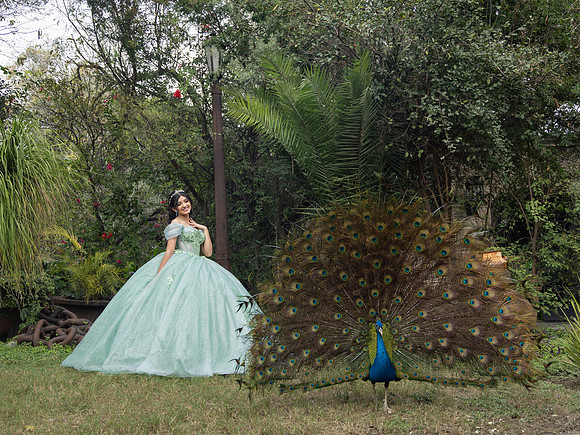 MARTHA ELENA #2906_ED-4738