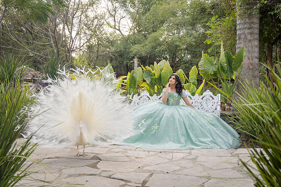 MARTHA ELENA #2906_ED-4782