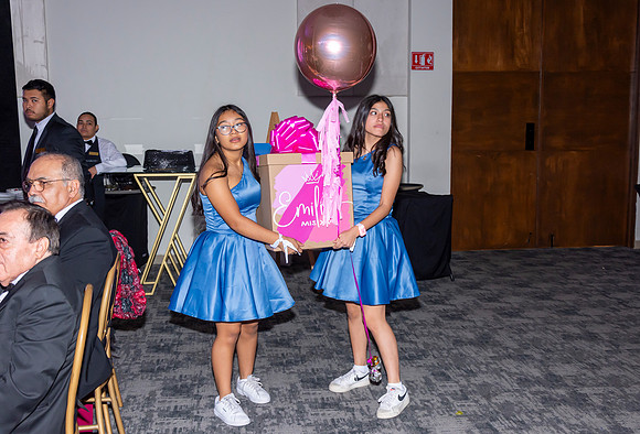 _DSC0517