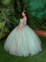 #6054 DENISSE KARINA MENDOZA (XV)