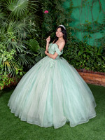 0133 #6054 DENISSE KARINA MENDOZA_