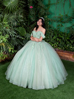 0137 #6054 DENISSE KARINA MENDOZA_