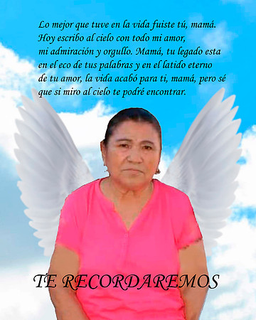 PARA DALIA_SEÑORA CON ALAS