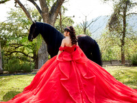 22-01-2026-#16843-ALMA VERONICA(FORMAL)_IG_3039