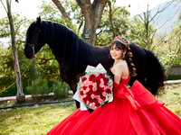 22-01-2026-#16843-ALMA VERONICA(FORMAL)_IG_3045