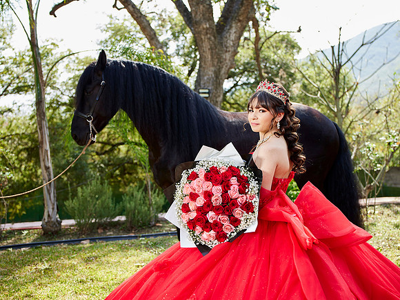 22-01-2026-#16843-ALMA VERONICA(FORMAL)_IG_3043