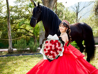 22-01-2026-#16843-ALMA VERONICA(FORMAL)_IG_3046