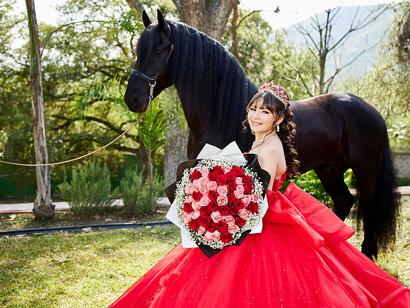 22-01-2026-#16843-ALMA VERONICA(FORMAL)_IG_3046