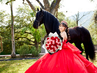 22-01-2026-#16843-ALMA VERONICA(FORMAL)_IG_3048