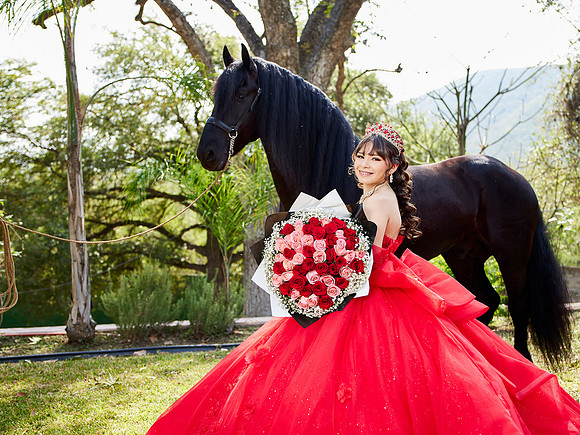 22-01-2026-#16843-ALMA VERONICA(FORMAL)_IG_3048
