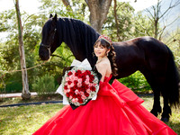 22-01-2026-#16843-ALMA VERONICA(FORMAL)_IG_3050