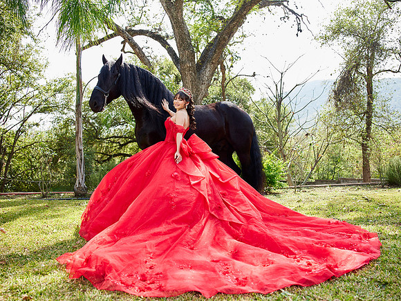22-01-2026-#16843-ALMA VERONICA(FORMAL)_IG_3055