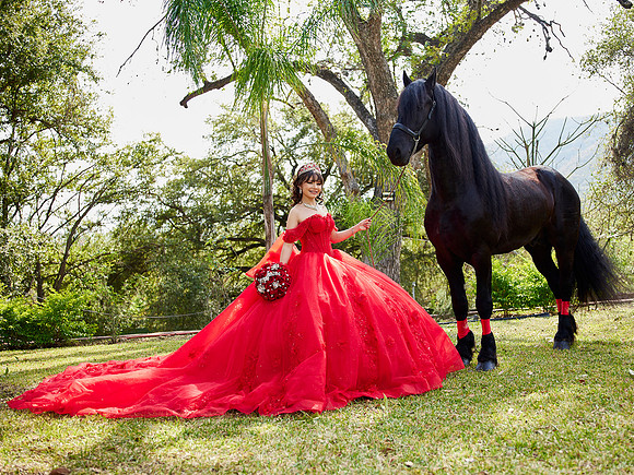 22-01-2026-#16843-ALMA VERONICA(FORMAL)_IG_3091