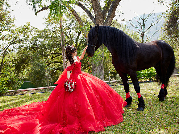 22-01-2026-#16843-ALMA VERONICA(FORMAL)_IG_3100