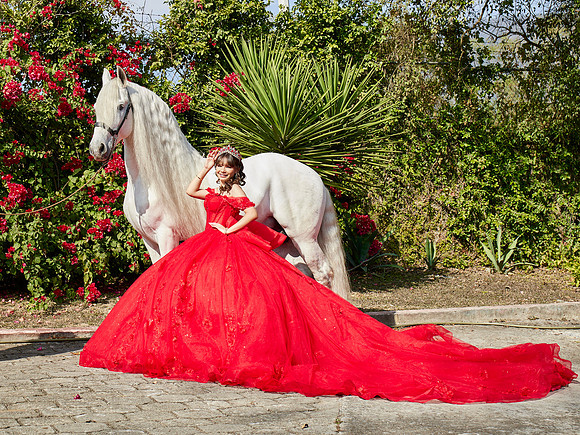 22-01-2026-#16843-ALMA VERONICA(FORMAL)_IG_3136