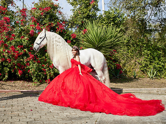 22-01-2026-#16843-ALMA VERONICA(FORMAL)_IG_3129