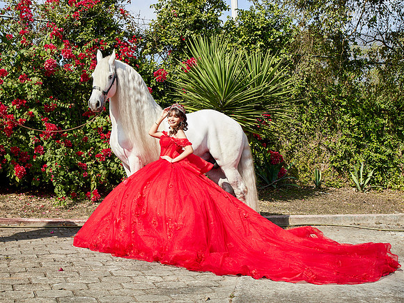 22-01-2026-#16843-ALMA VERONICA(FORMAL)_IG_3132