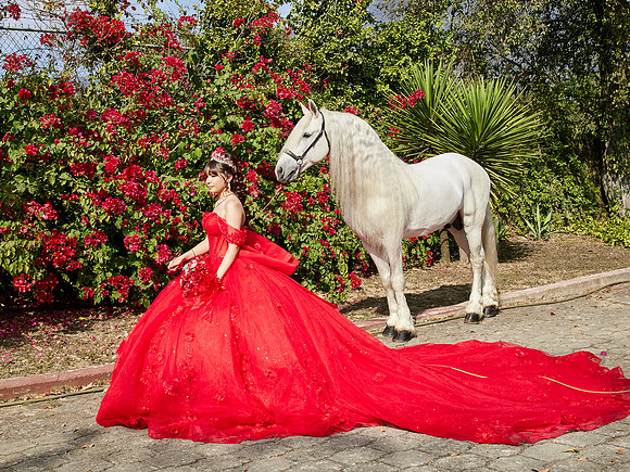 22-01-2026-#16843-ALMA VERONICA(FORMAL)_IG_3163