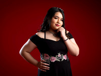 ROSA ELENA #2917-6688