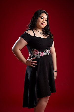 ROSA ELENA #2917-6684