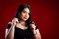 ROSA ELENA #2917-6690