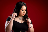 ROSA ELENA #2917-6689