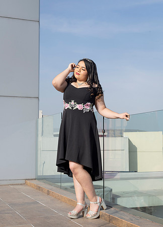 ROSA ELENA #2917-6742