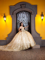 6X8 #27098 ZULEMA RAYGOZA (XV FORMAL)-8356