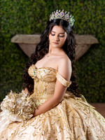 6X8 #27098 ZULEMA RAYGOZA (XV FORMAL)-8238