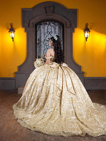 6X8 #27098 ZULEMA RAYGOZA (XV FORMAL)-8360