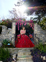 #26244 MARTHA PATRICIA ALMAZA (XV LOC JUNCAL ESTUDIO SWEET) BENJI_BAM0629