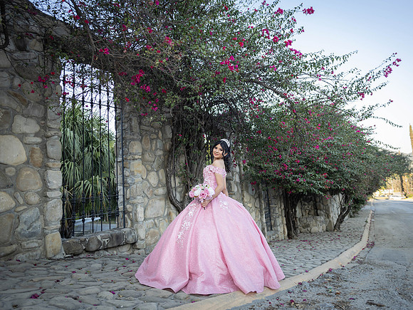 #25040 MARIA DE LOS ANGELES RDZ (FORMAL)-6958