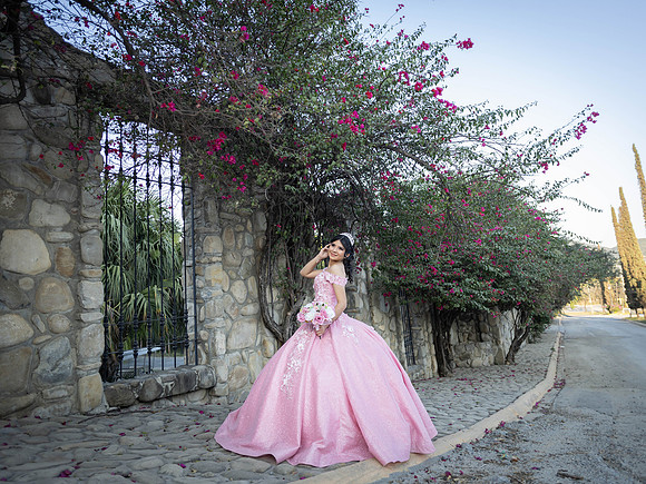 #25040 MARIA DE LOS ANGELES RDZ (FORMAL)-6959