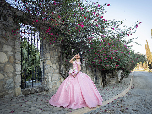 #25040 MARIA DE LOS ANGELES RDZ (FORMAL)-6961