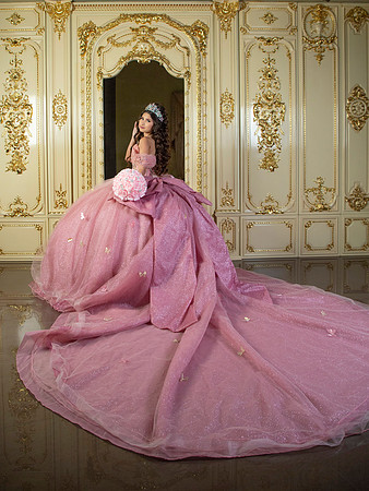 #26802 DIANA LAURA (XV FORMAL)-1248