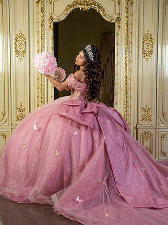 #26802 DIANA LAURA (XV FORMAL)-1253