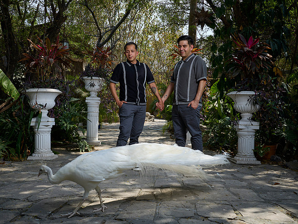 #2934 JORGE ALBERTO (PAREJA JUNCAL) BENJI_BAM1503