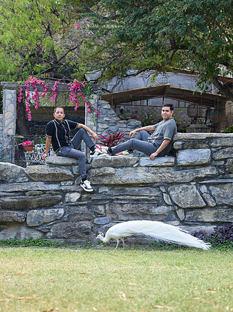#2934 JORGE ALBERTO (PAREJA JUNCAL) BENJI_BAM1589